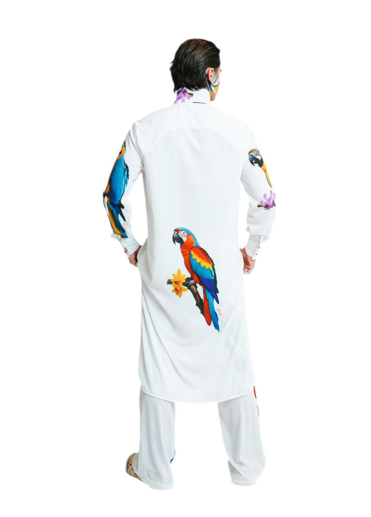 Designer Macaw Mirage Set