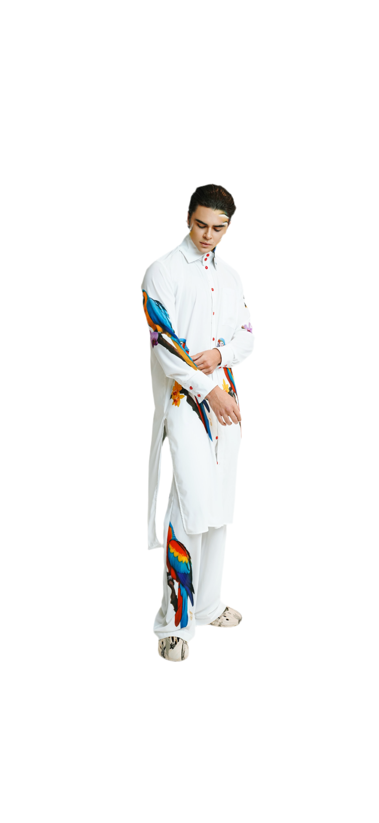Designer Macaw Mirage Set