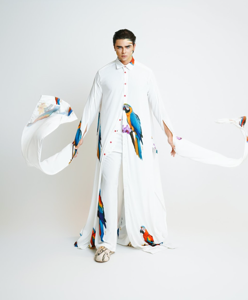 Designer Macaw Cielo Set