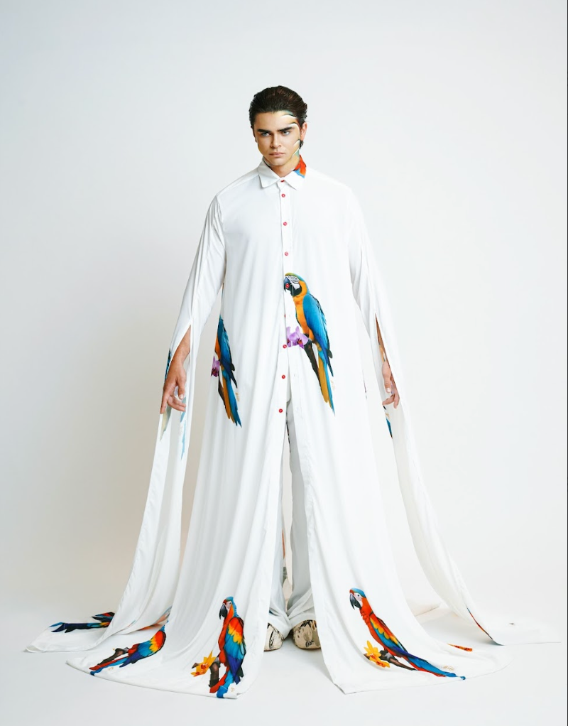 Designer Macaw Cielo Set