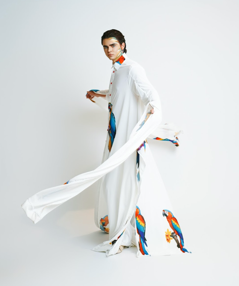 Designer Macaw Cielo Set